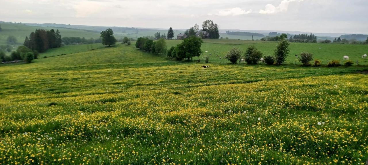 Gite Du Cheval Blanc A Houmont Sainte-Ode ภายนอก รูปภาพ